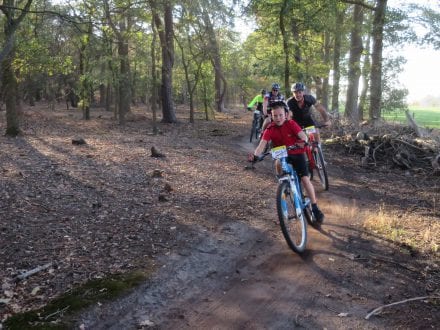 Lageveldtoer trakteert op vernieuwde routes