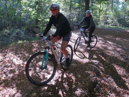 Duik het bos in met Ruiten Drie