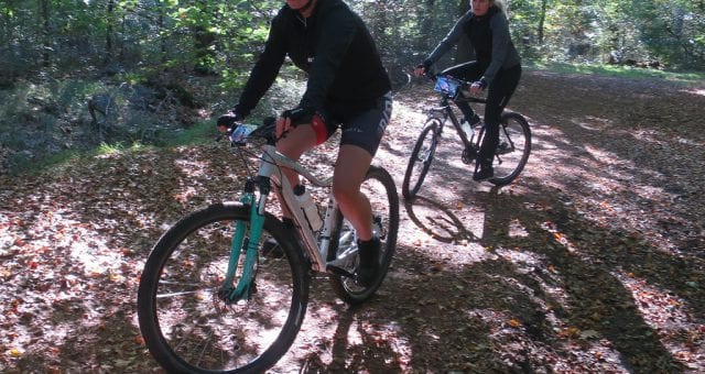 Duik het bos in met Ruiten Drie